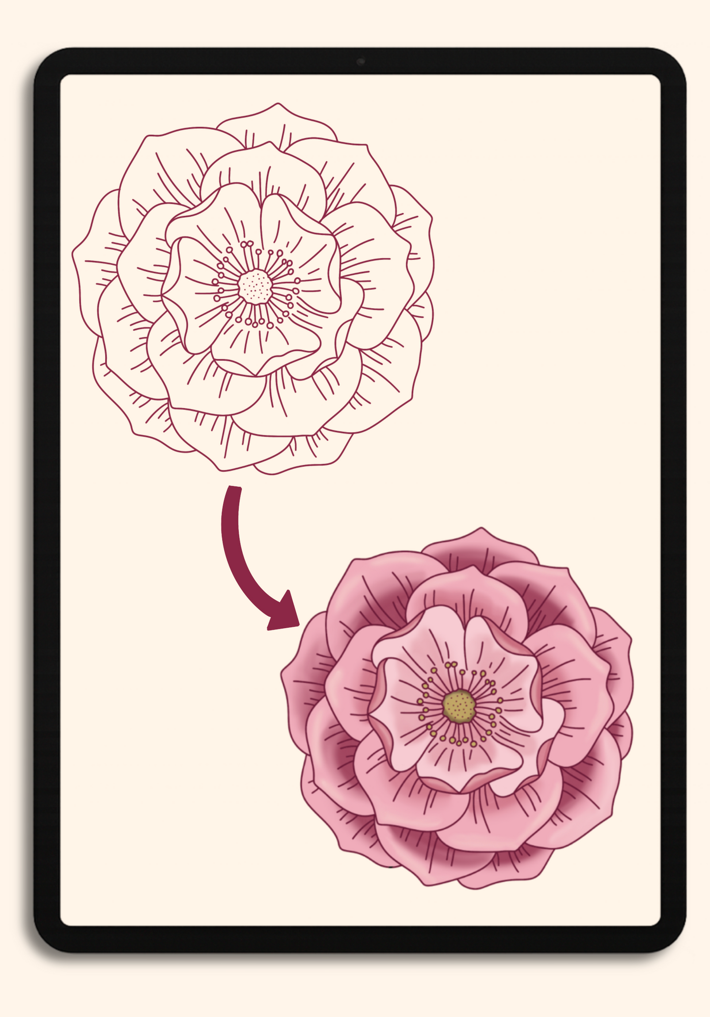 Wild Roses | Procreate Stamp Brush Set